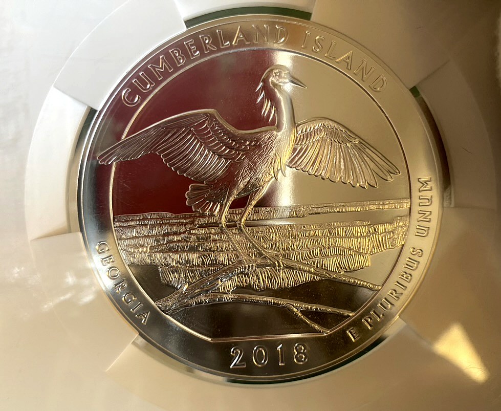 2018 Cumberland Island 5 oz Silver ATB — NGC MS69 PL Early Releases — obverse shown in hand, photographed in hand at Capstone Metals.